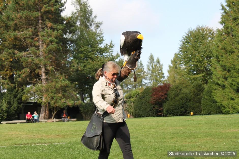 AUSFLUG Sonnentor und Greifvögel